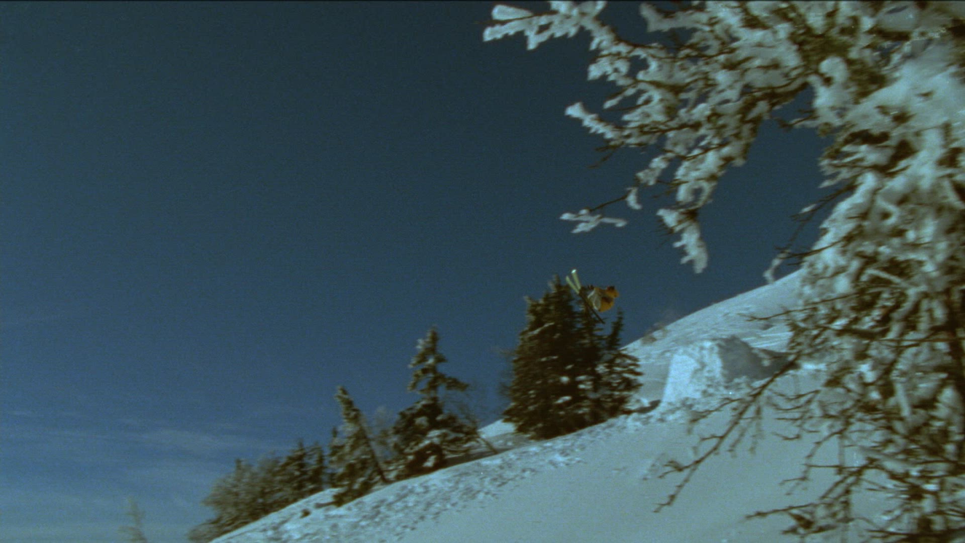 906507921 / Freestyle / Funsport / Winter Sports