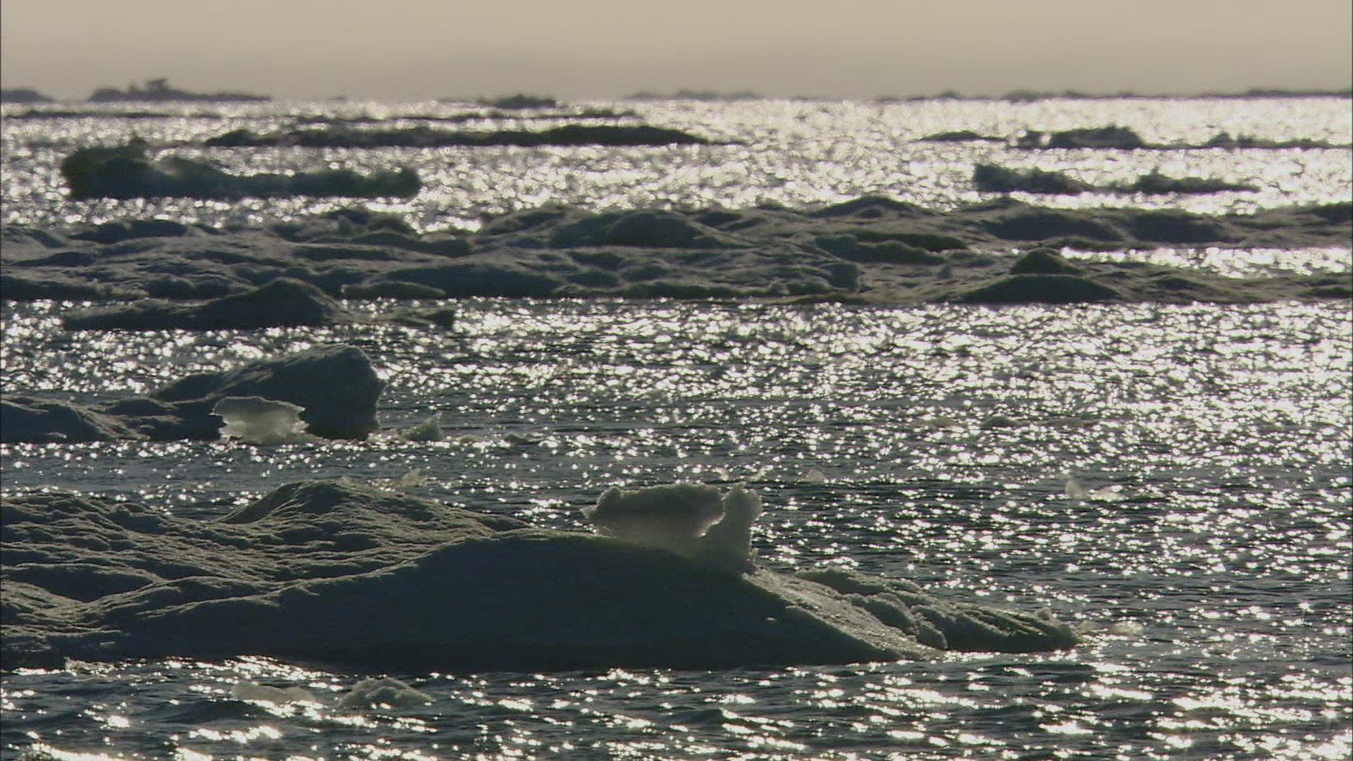 456910849 / Seascape / Arctic Ocean / Wrangel Island / Russia