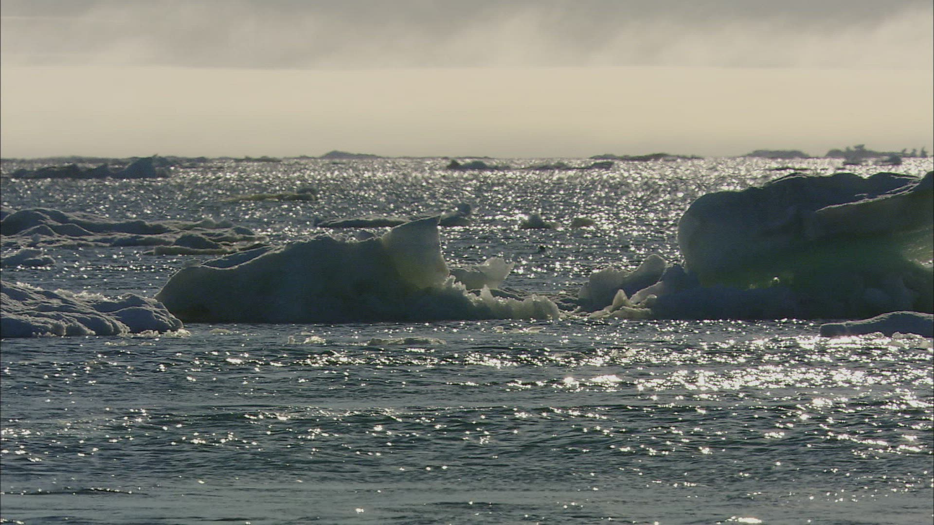 986771993 / Seascape / Arctic Ocean / Wrangel Island / Russia