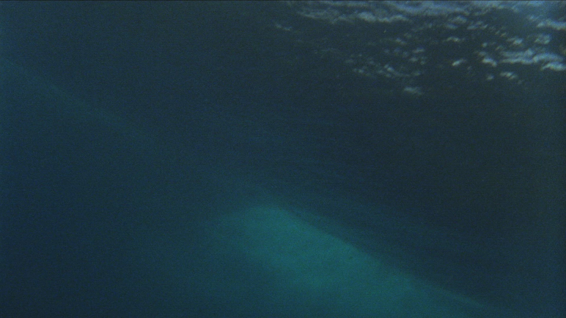 684126088 / Wave Riding / Extreme Sport