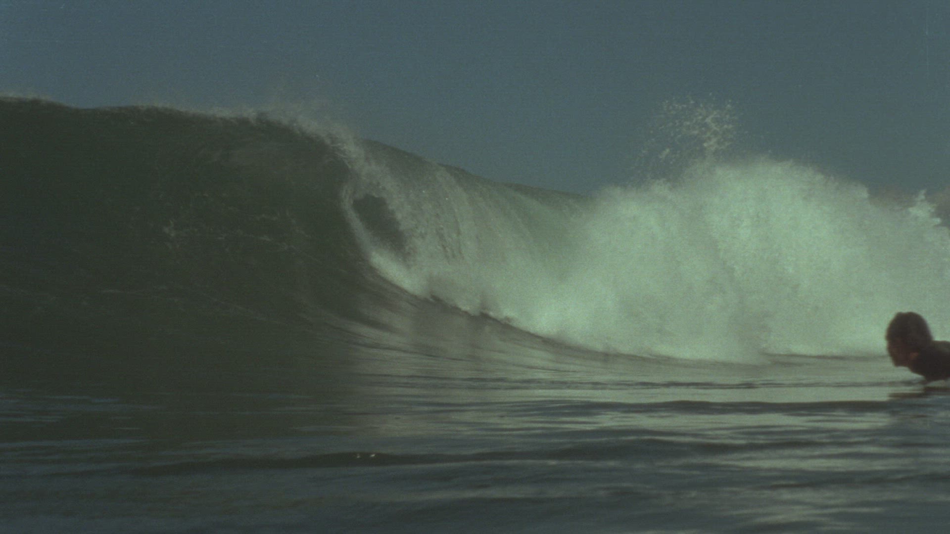 450982796 / Wave Riding / Extreme Sport