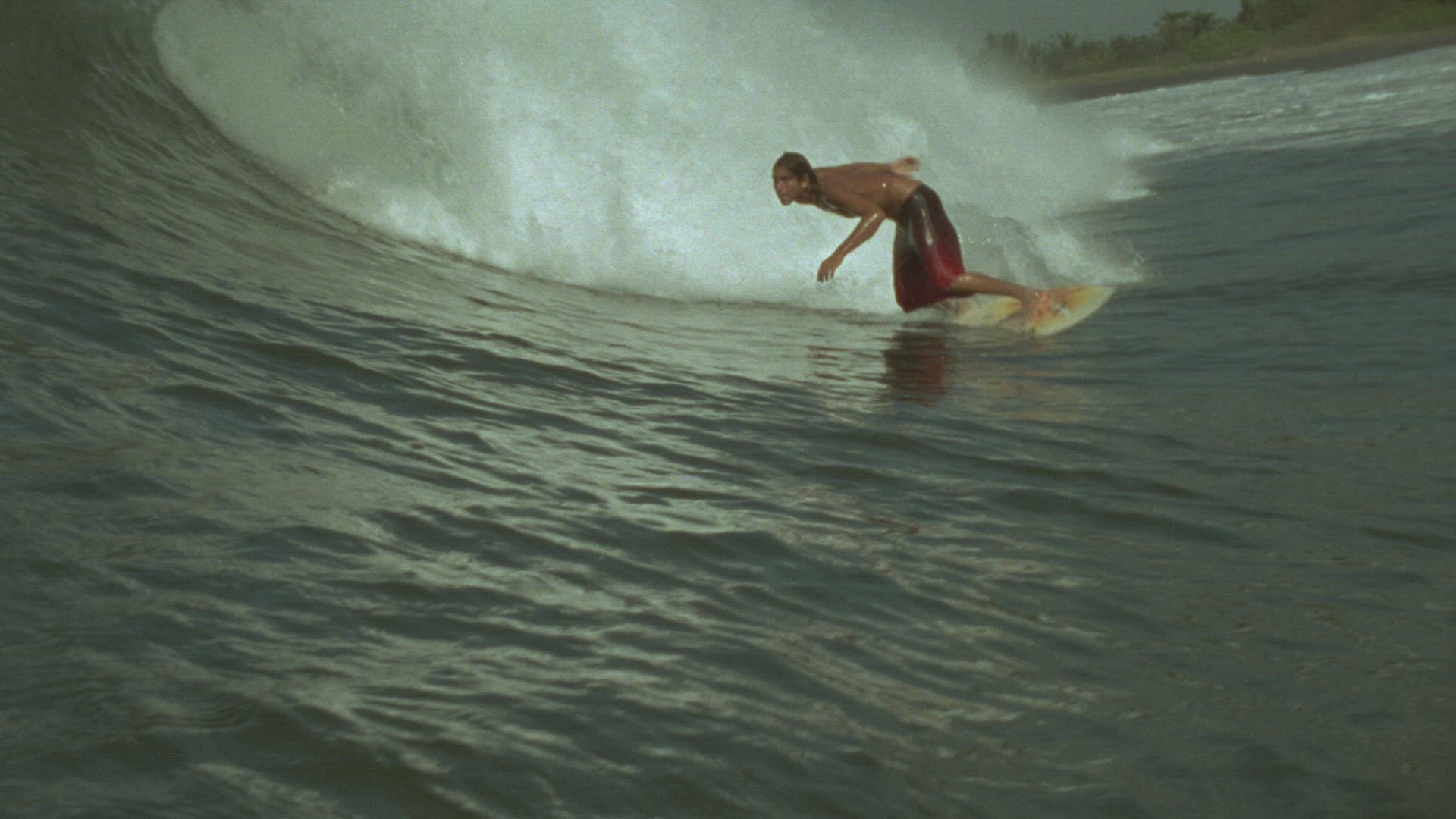954042940 / Wave Riding / Extreme Sport
