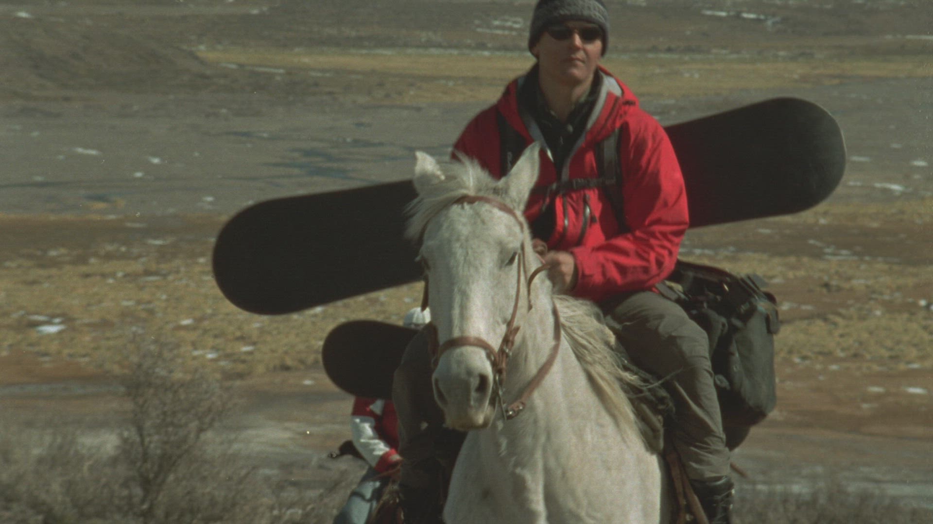 228222523 / Professional / Horse / Extreme Sport