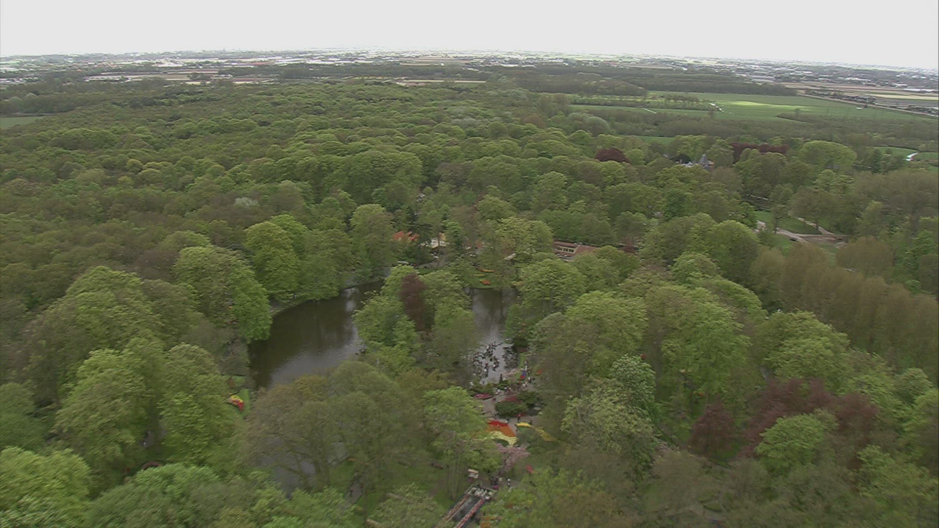 579165550 / Tourism / Keukenhof / Lisse / Netherlands