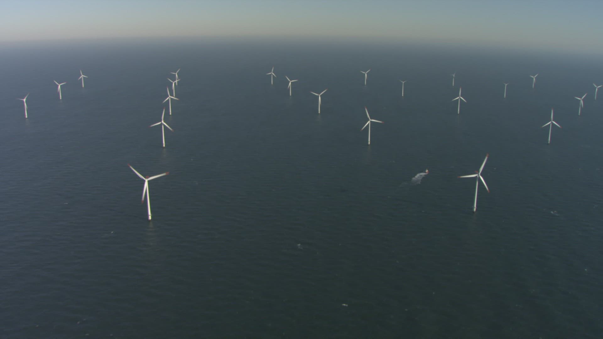 766341084 / Horns Rev Offshore Wind Farm / Denmark / Aerial