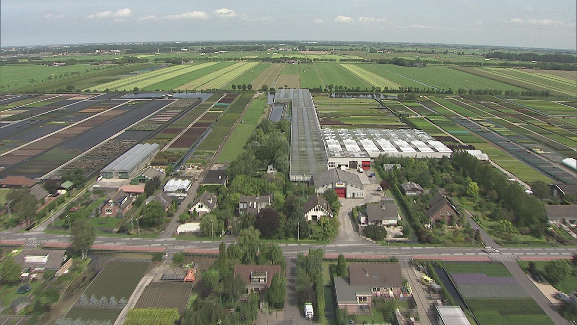 981448264 / Fruit Plantation / Netherlands / Aerial