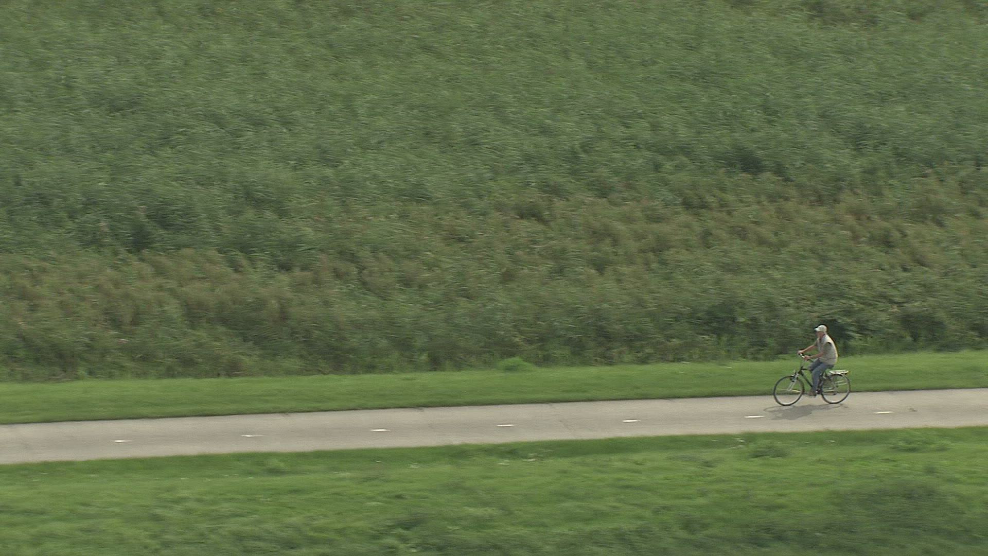 299793191 / People / Cycling / Netherlands