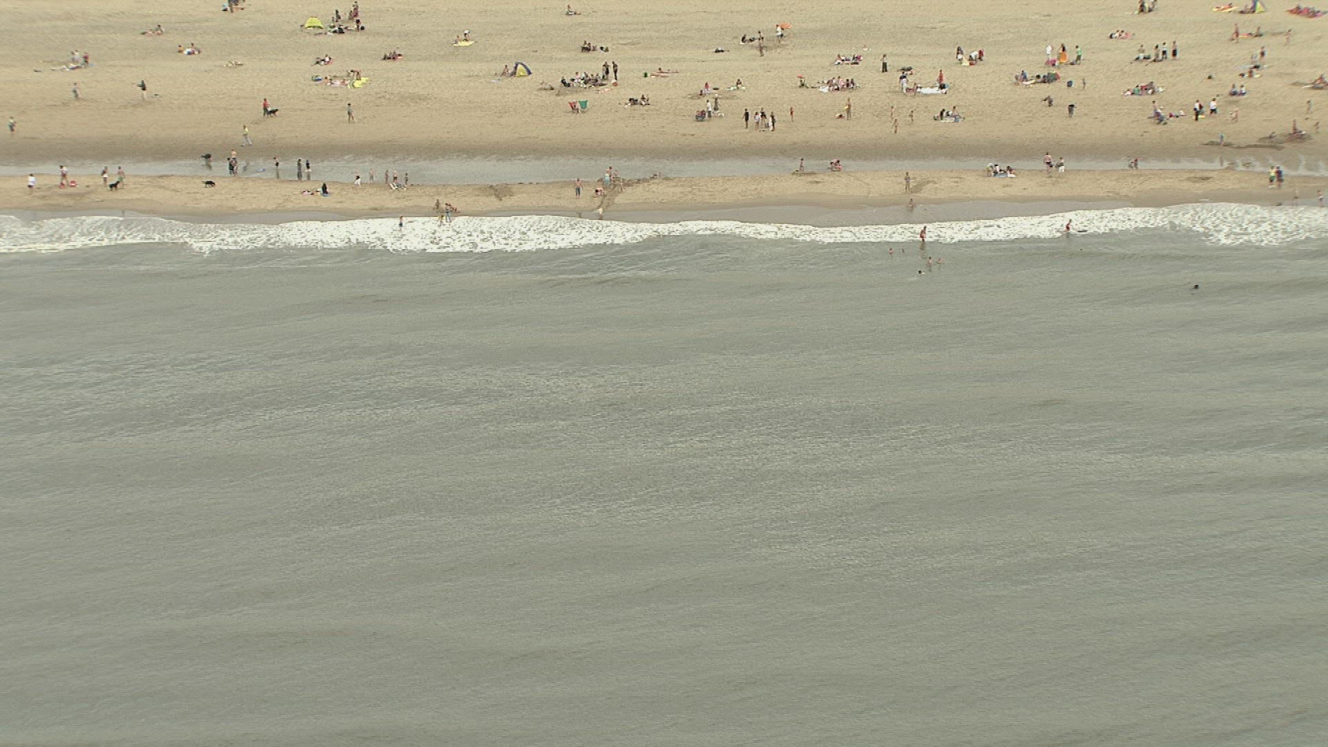 921609500 / Beach Life / Beach / North Sea / Netherlands