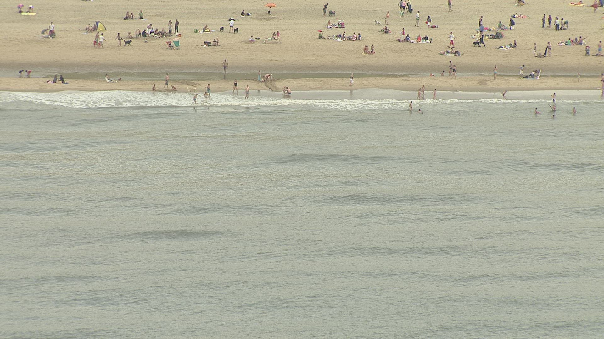 414278459 / Beach Life / Beach / North Sea / Netherlands