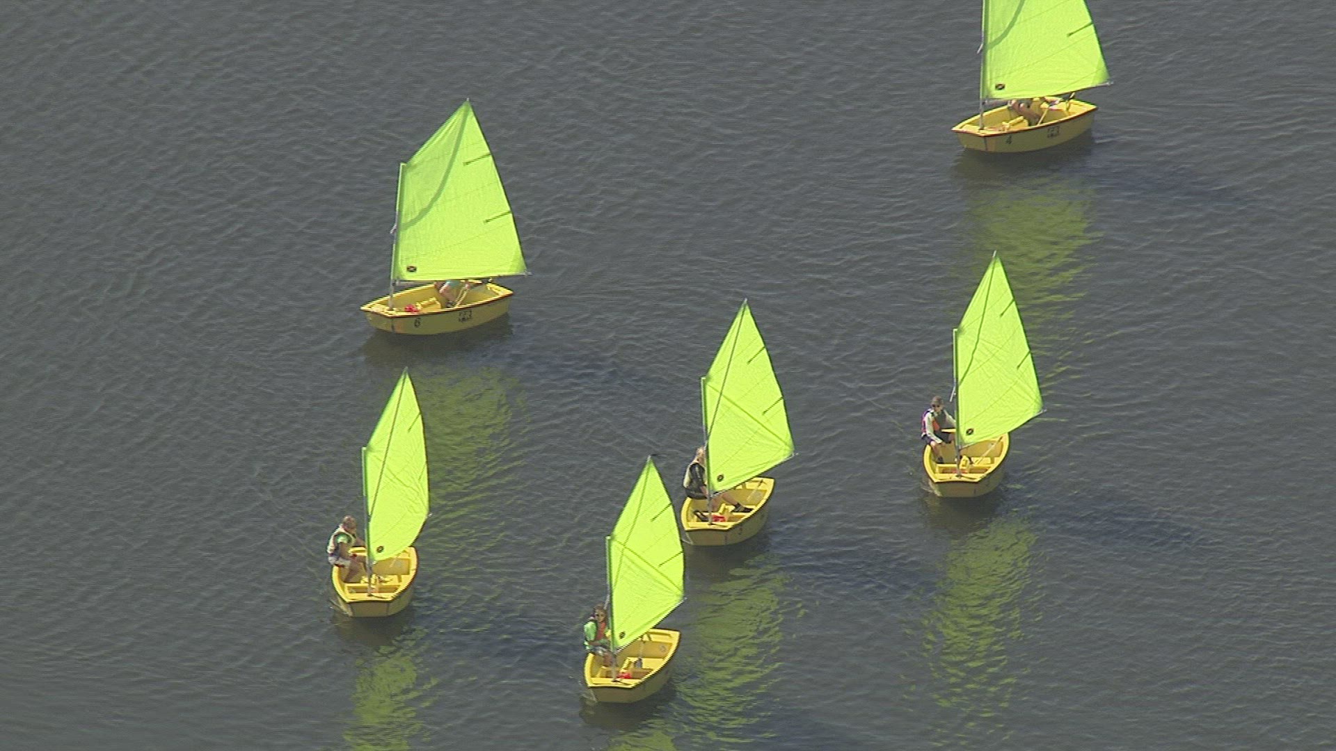 787125950 / Sailing Regatta / Ijsselmeer / Netherlands / Aerial