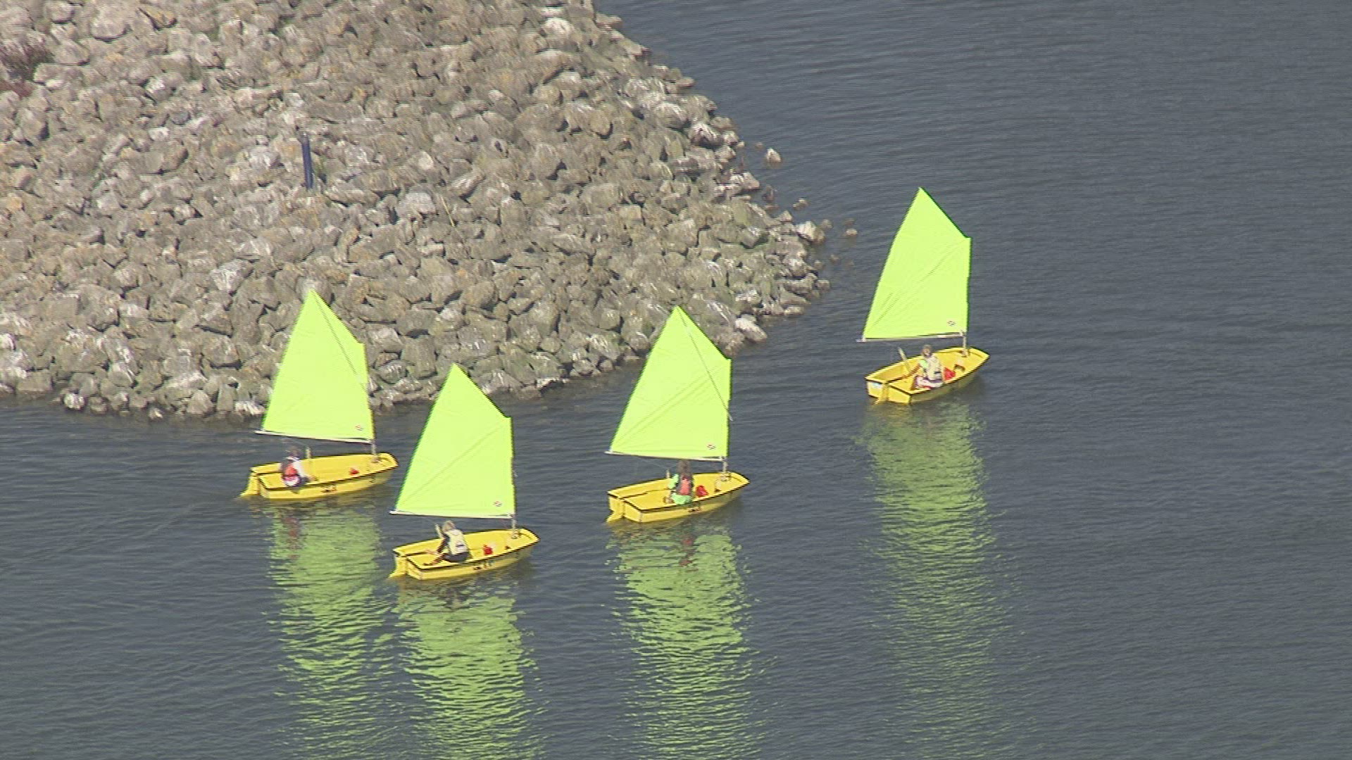 258800311 / Sailing Regatta / Ijsselmeer / Netherlands / Aerial