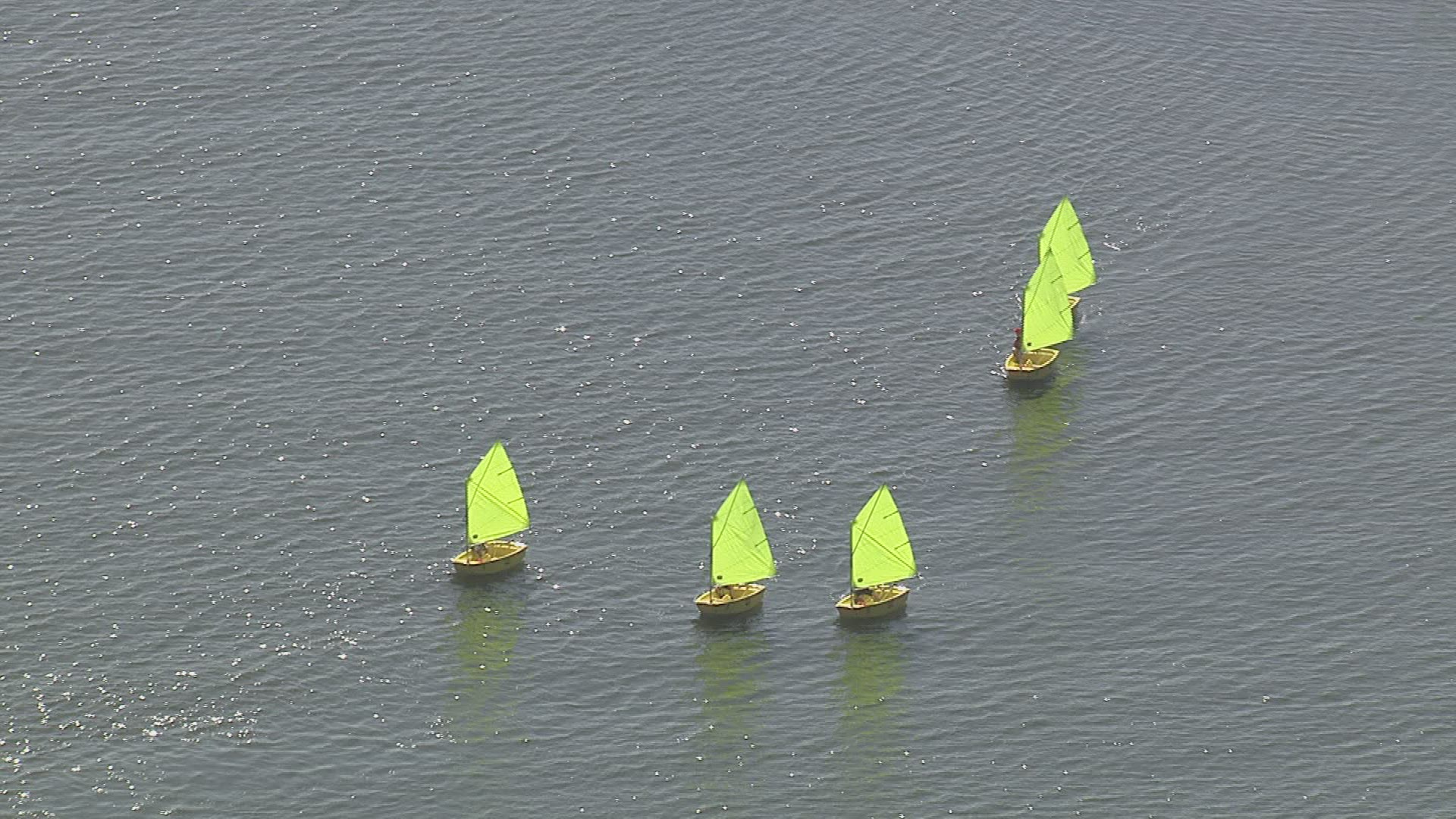876432334 / Sailing Regatta / Ijsselmeer / Netherlands / Aerial