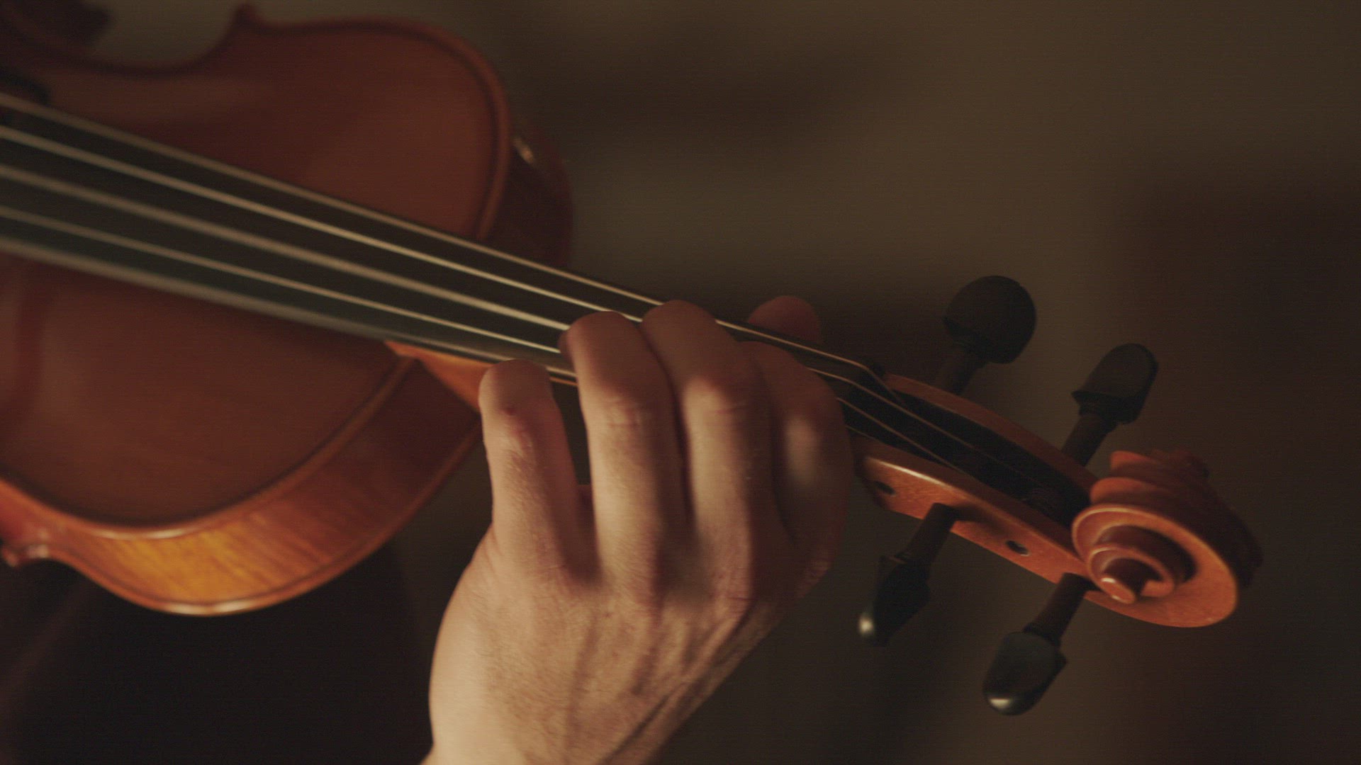 915940675 / Violin-Maker / Tuning / Making Music