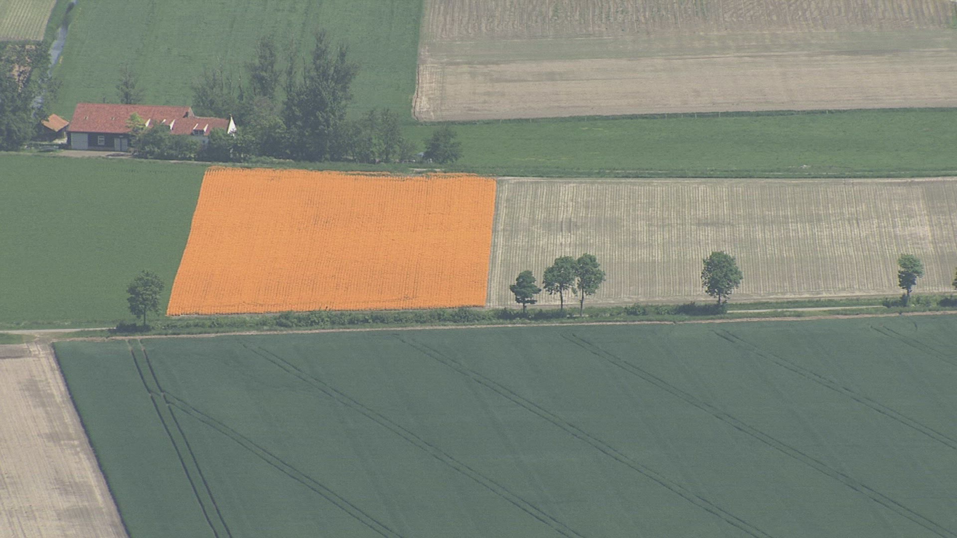 375605071 / Field / Landscape / Netherlands / Aerial