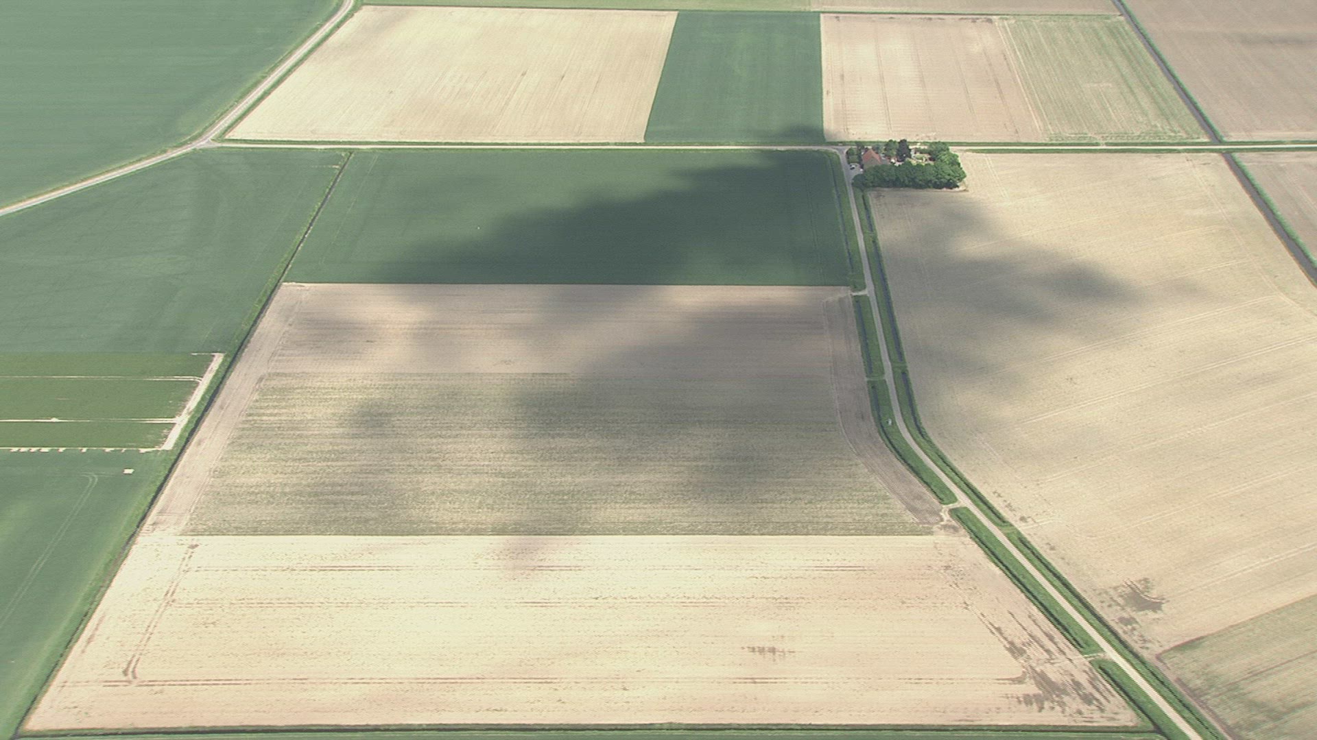 923309681 / Field / Landscape / Netherlands / Aerial