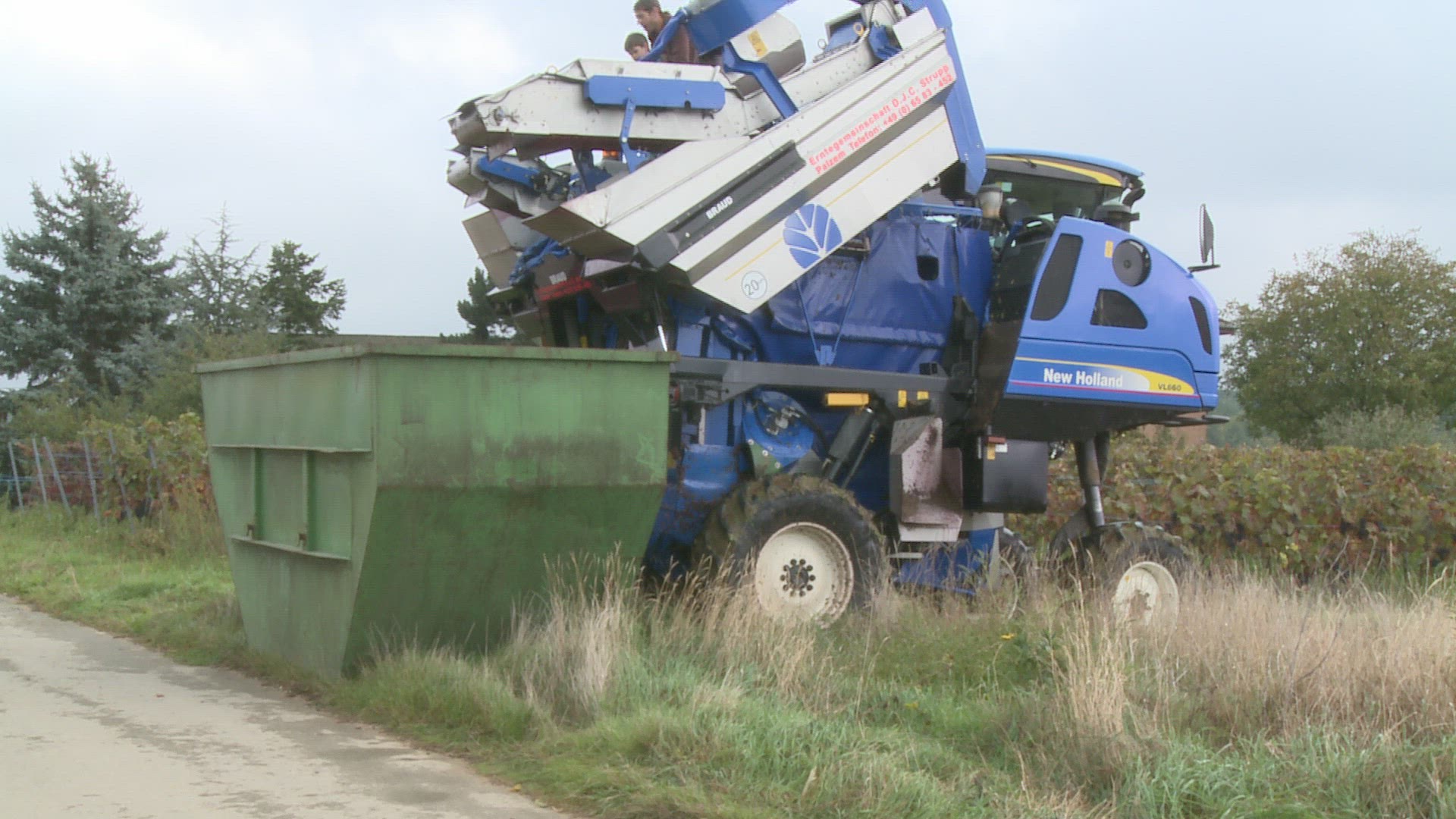 372070190 / Grape Harvester / Grape Harvest / Germany
