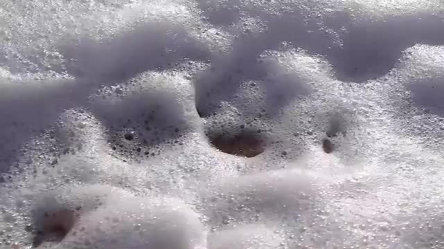 Baby Turtle Land 4
