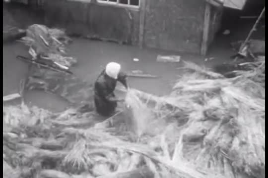 Typhoons in Japan cause obscene amounts of damage in 1956.