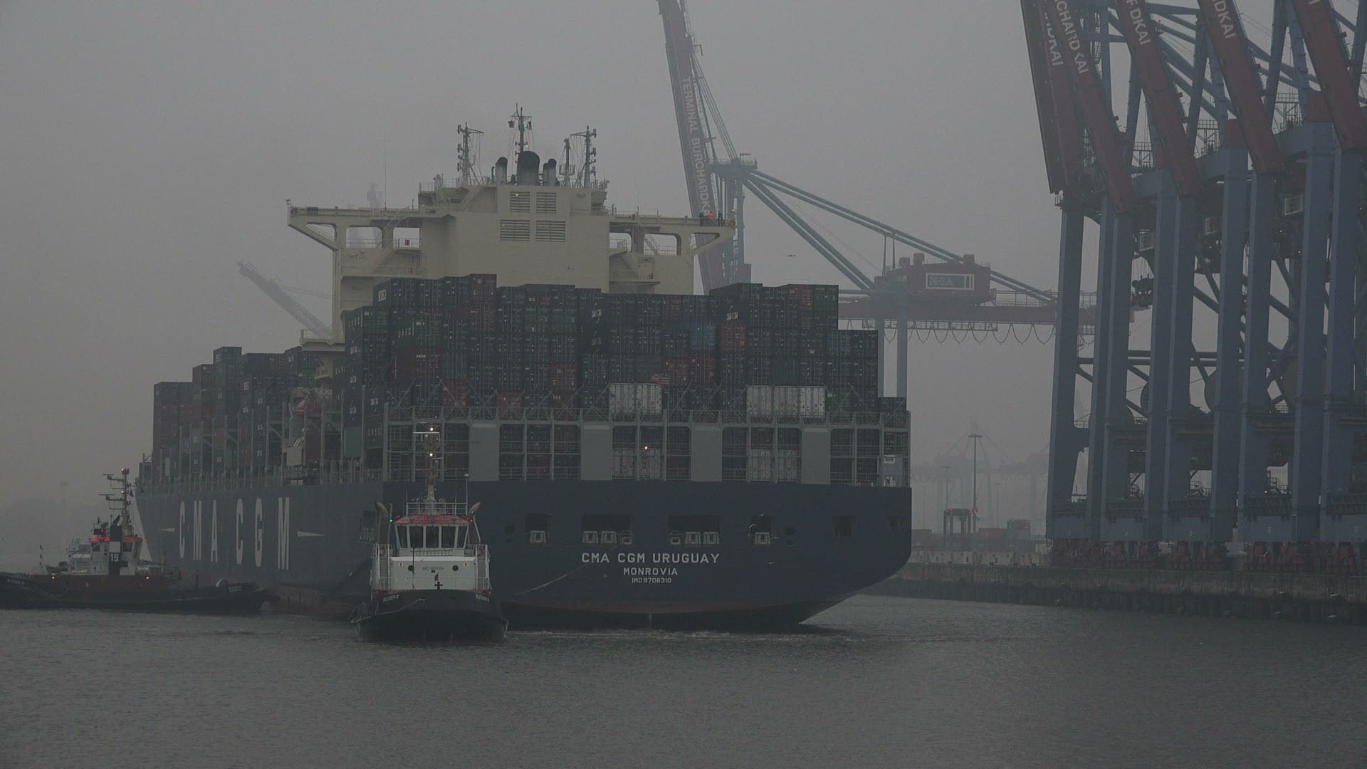 326205087 / Port of Hamburg / Elbe / Germany