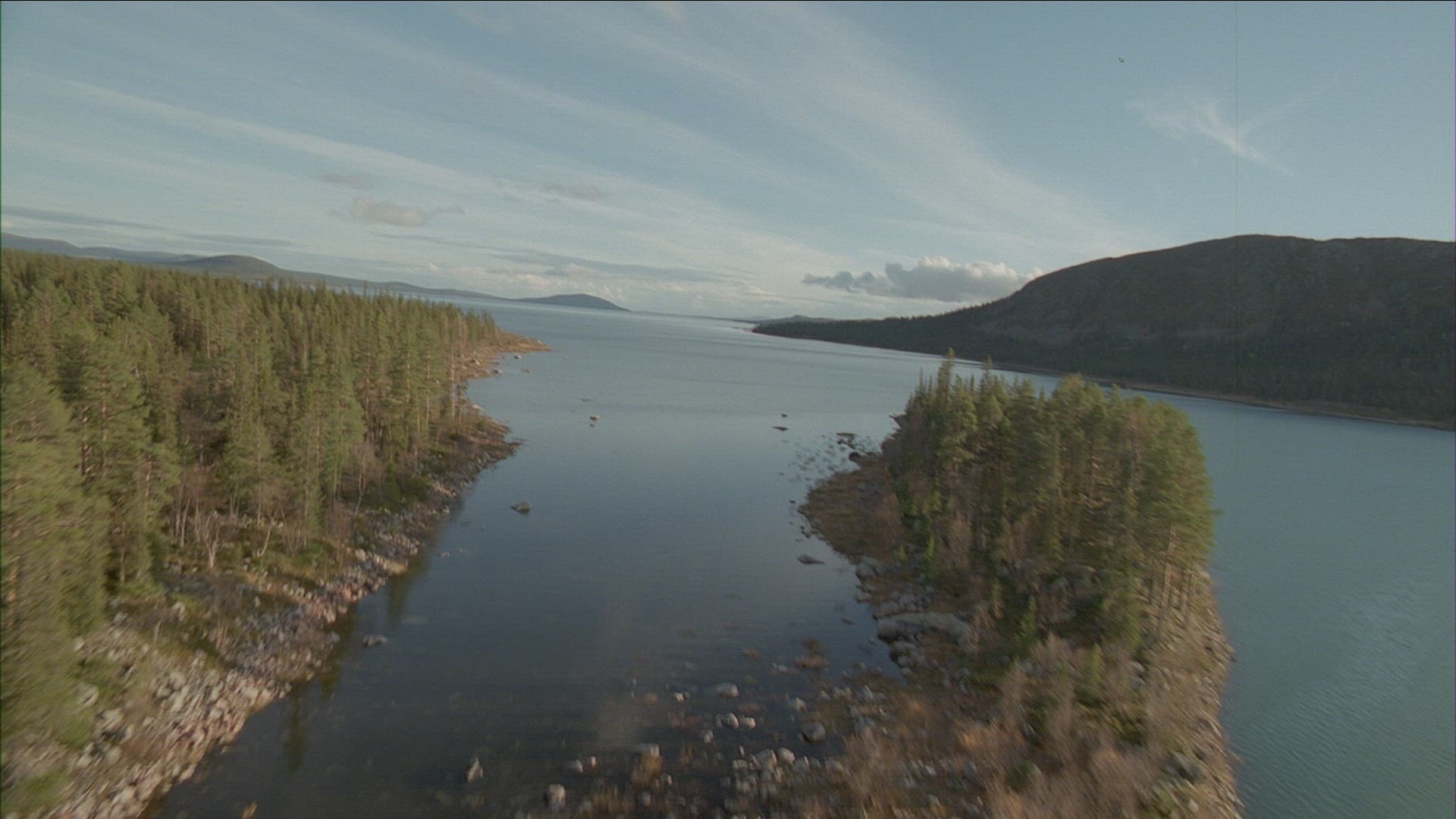 542526780 / River / Lake / Waterside / Coniferous Forest / Sweden