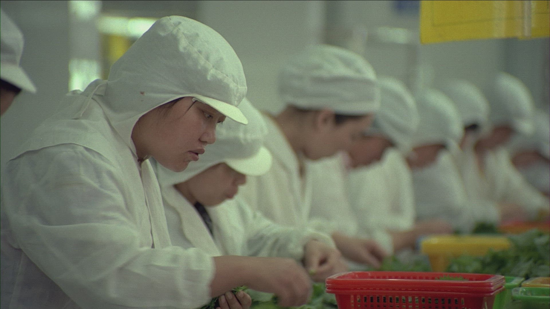 725011266 / Worker / Food Processing / Factory / China