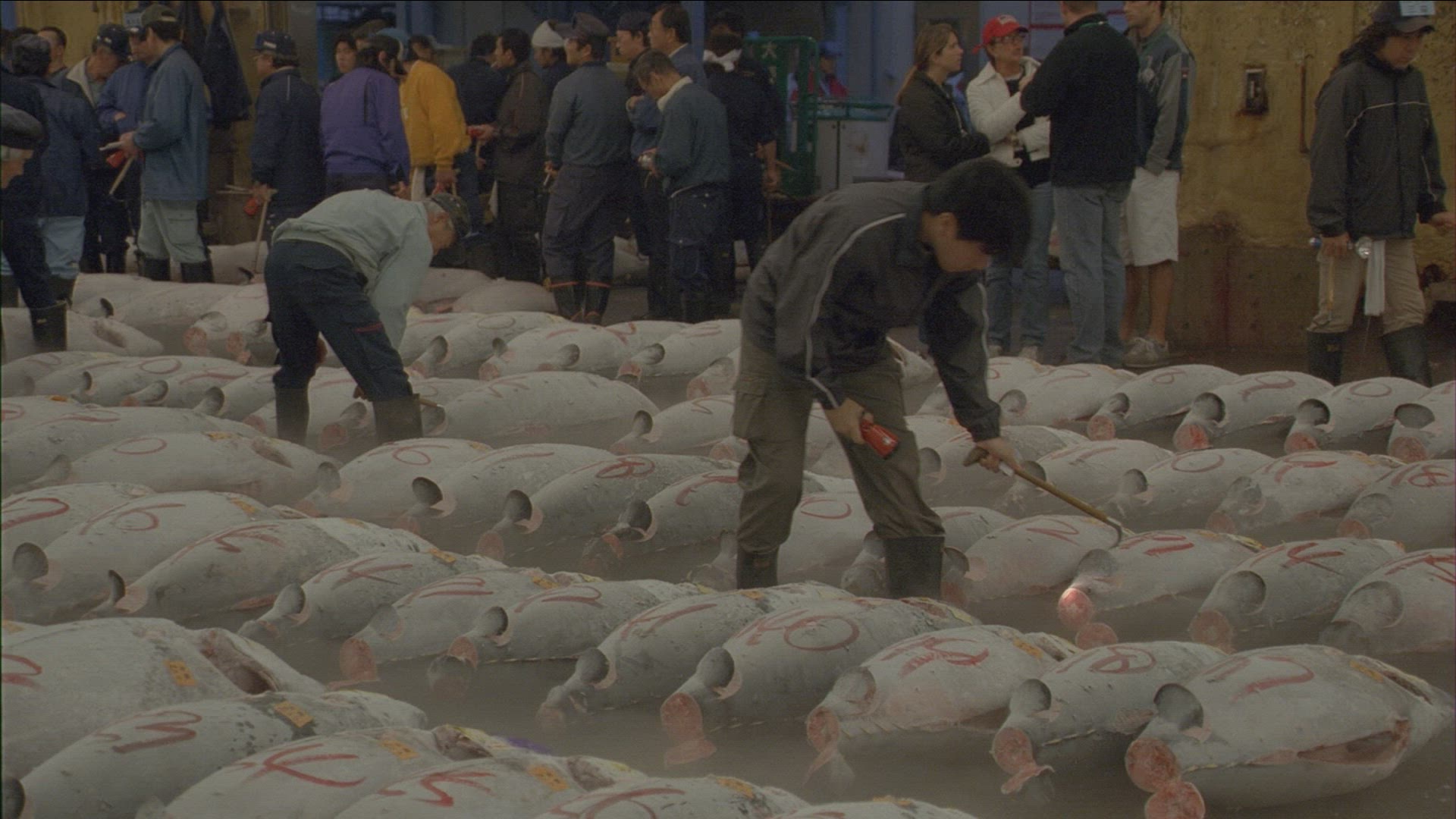 598853314 / Tsukiji Fish Market / Tokyo / Japan