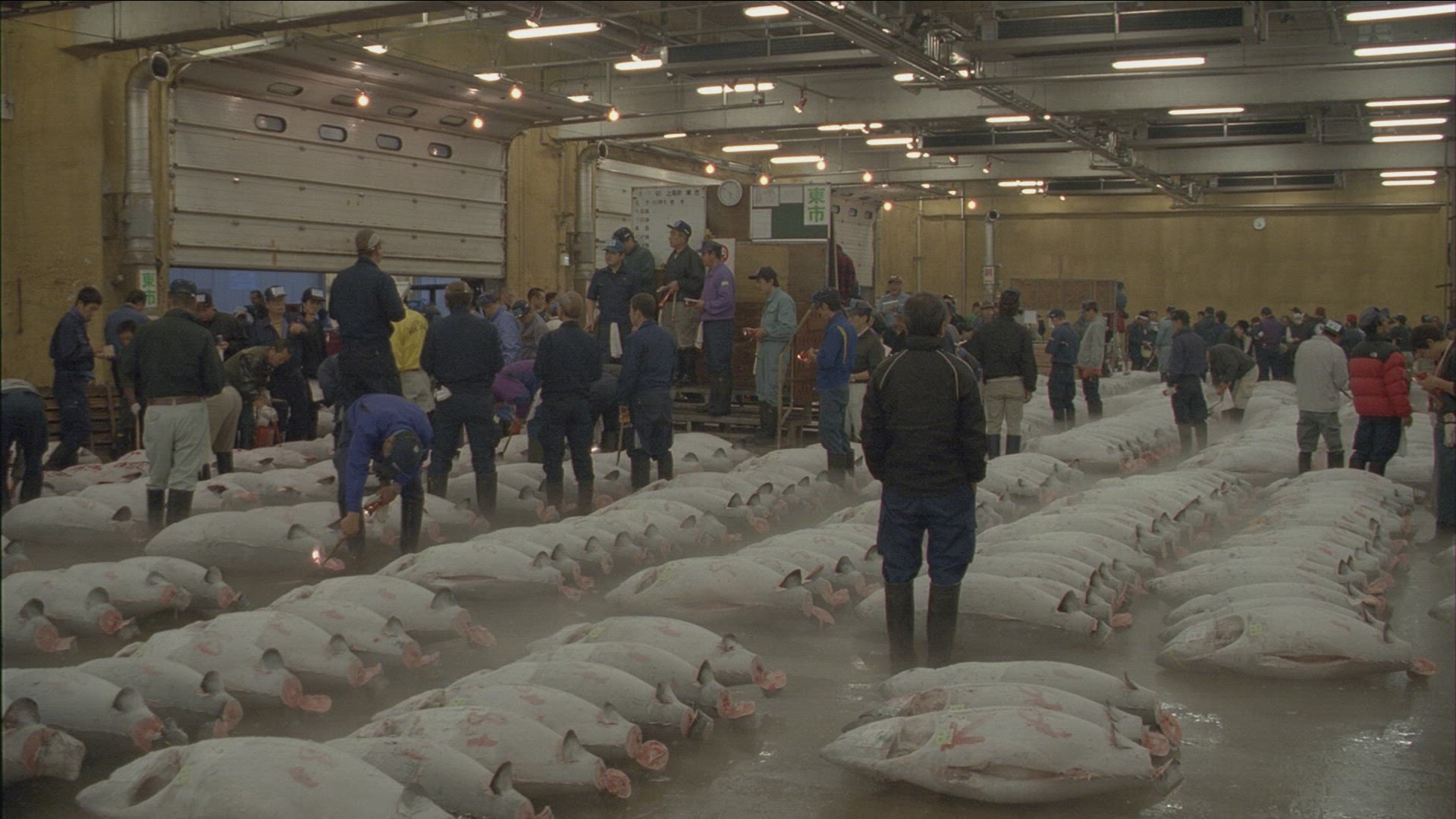 922048045 / Tsukiji Fish Market / Tokyo / Japan