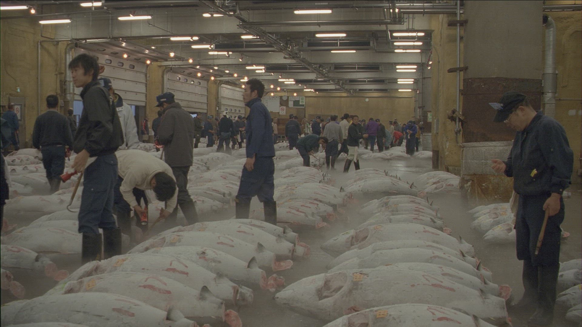 526214063 / Tsukiji Fish Market / Tokyo / Japan