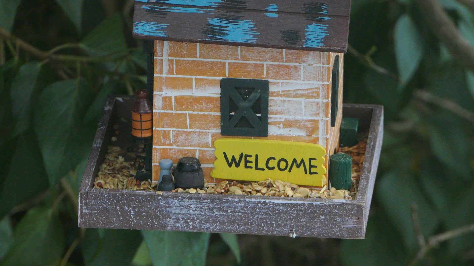 218983540 / Tit / Eating / Birdhouse