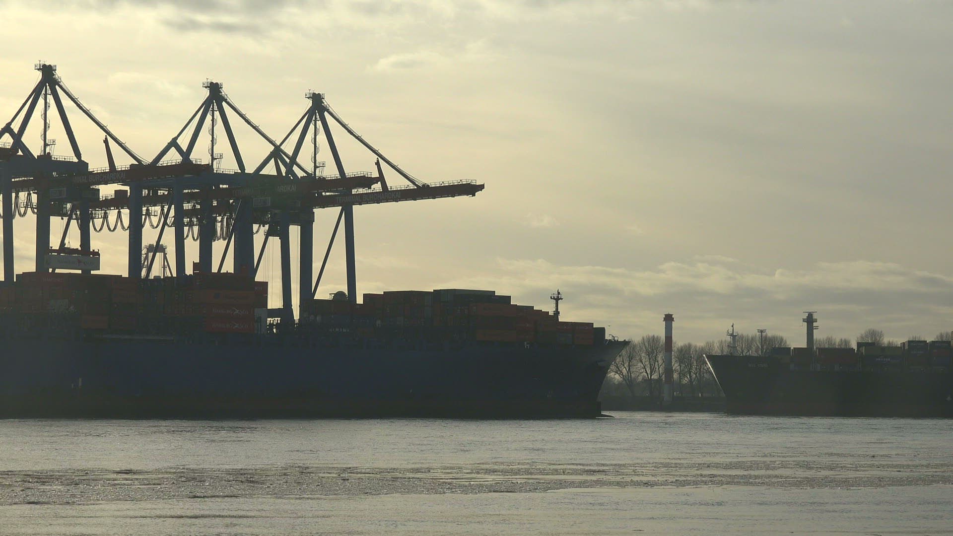 241003974 / Port of Hamburg / Elbe / Germany