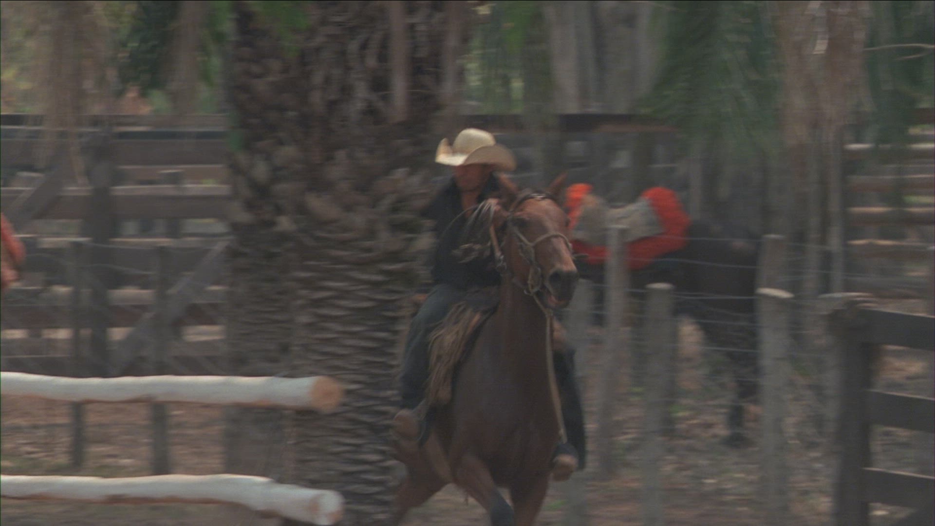 843794175 / Cowboy / Brazil