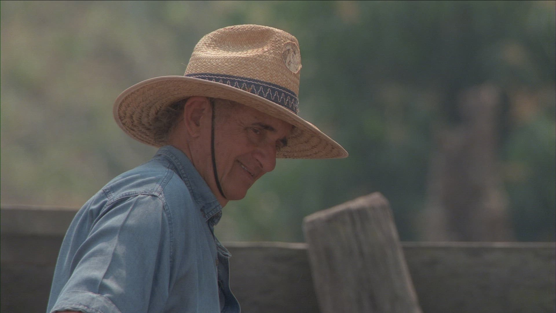 737646689 / Cowboy / Brazil