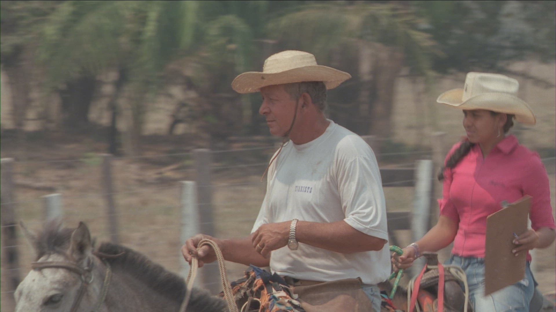 409808857 / Cowboy / Brazil