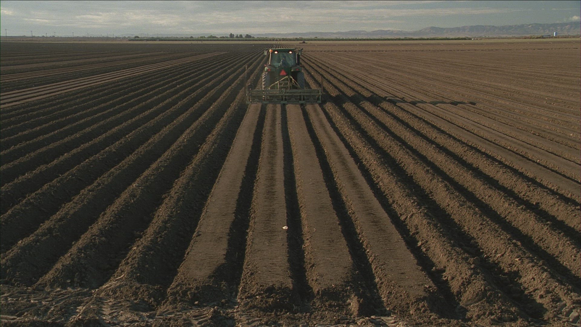 986032669 / Cotton / Agribusiness / California / USA