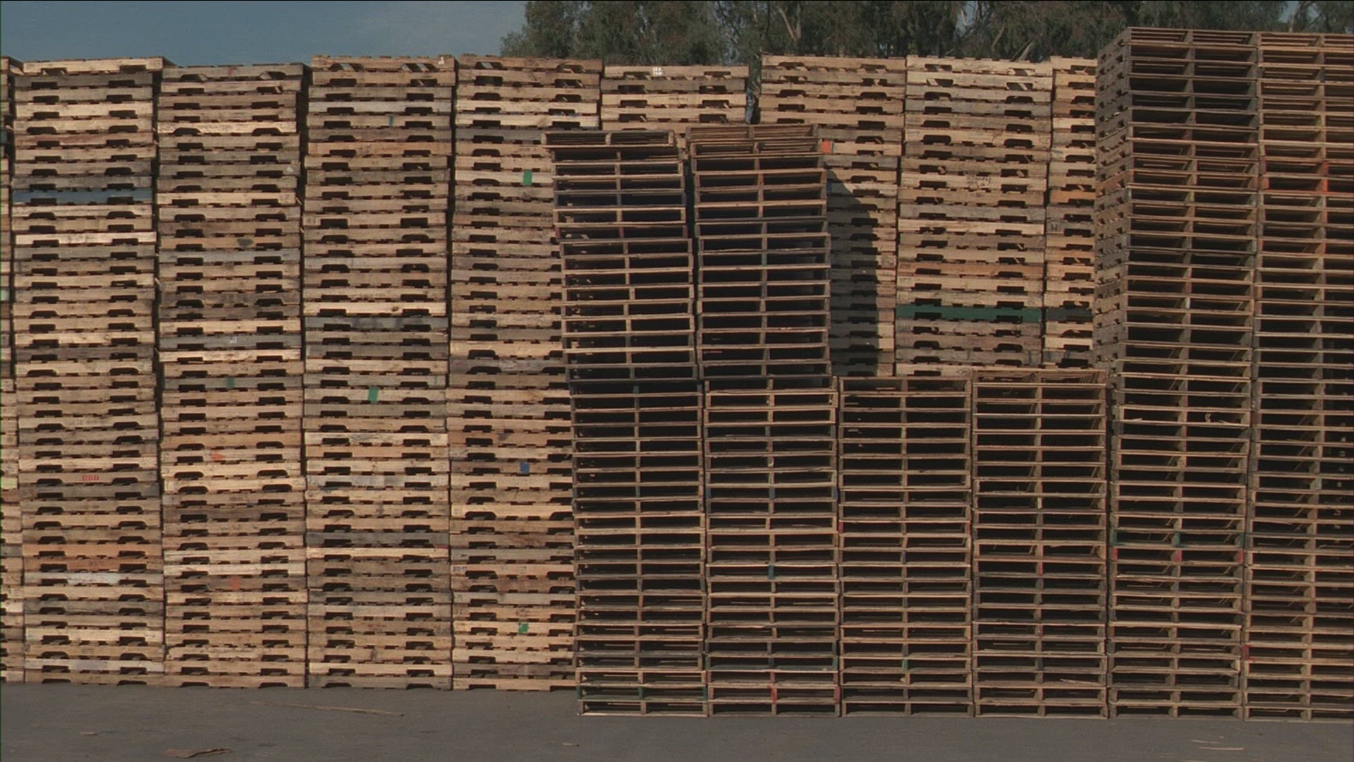 558603559 / Palette / Pile / USA