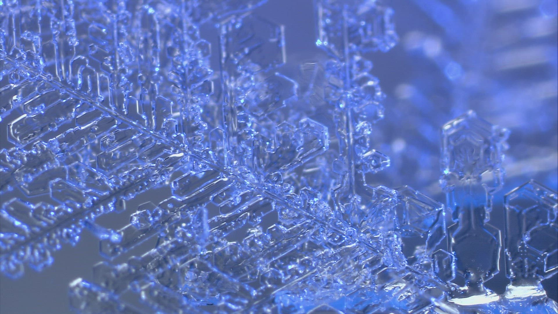 151946248 / Ice Crystal / Cold