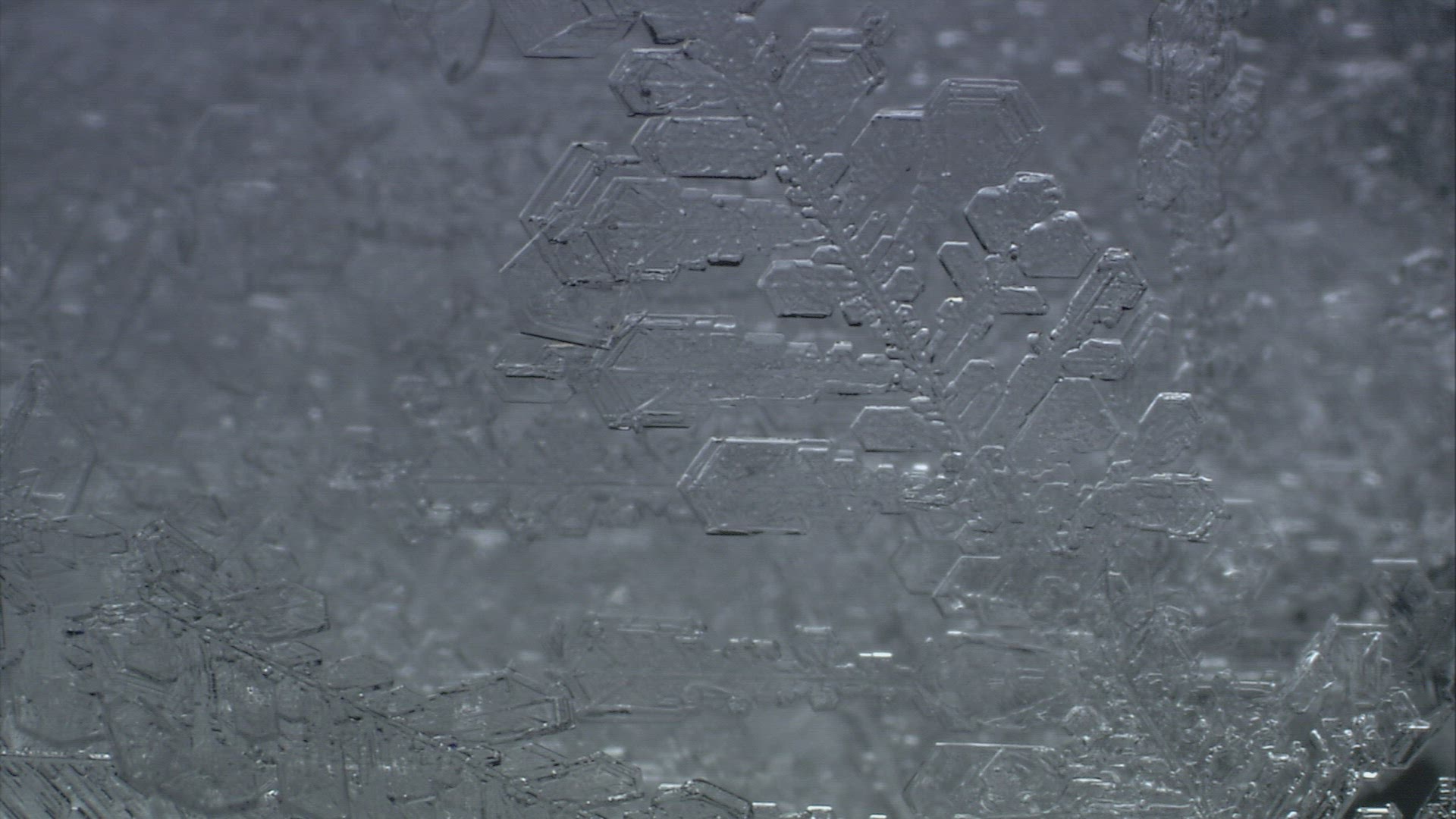 995391330 / Ice Crystal / Cold