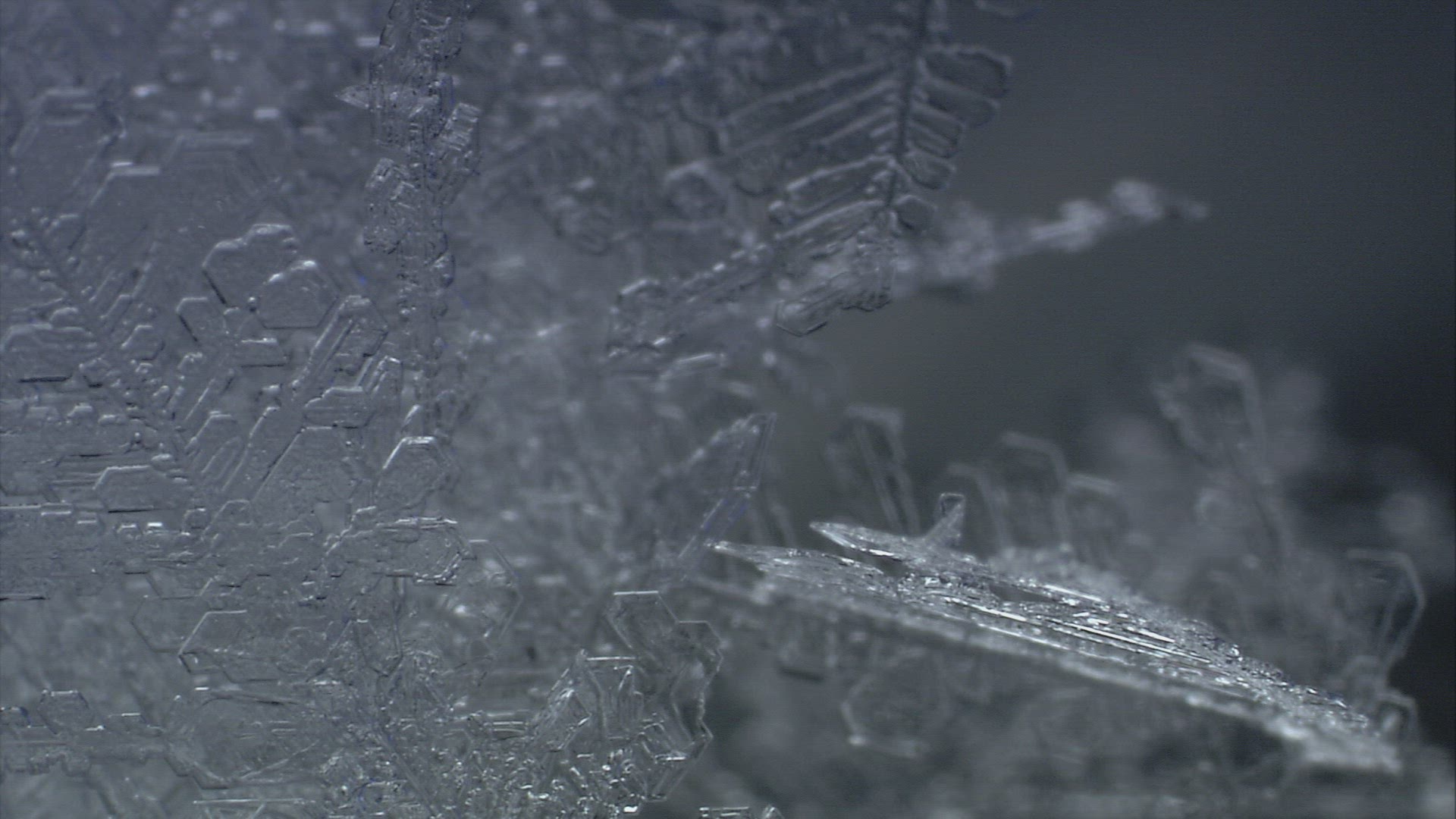844453045 / Ice Crystal / Cold