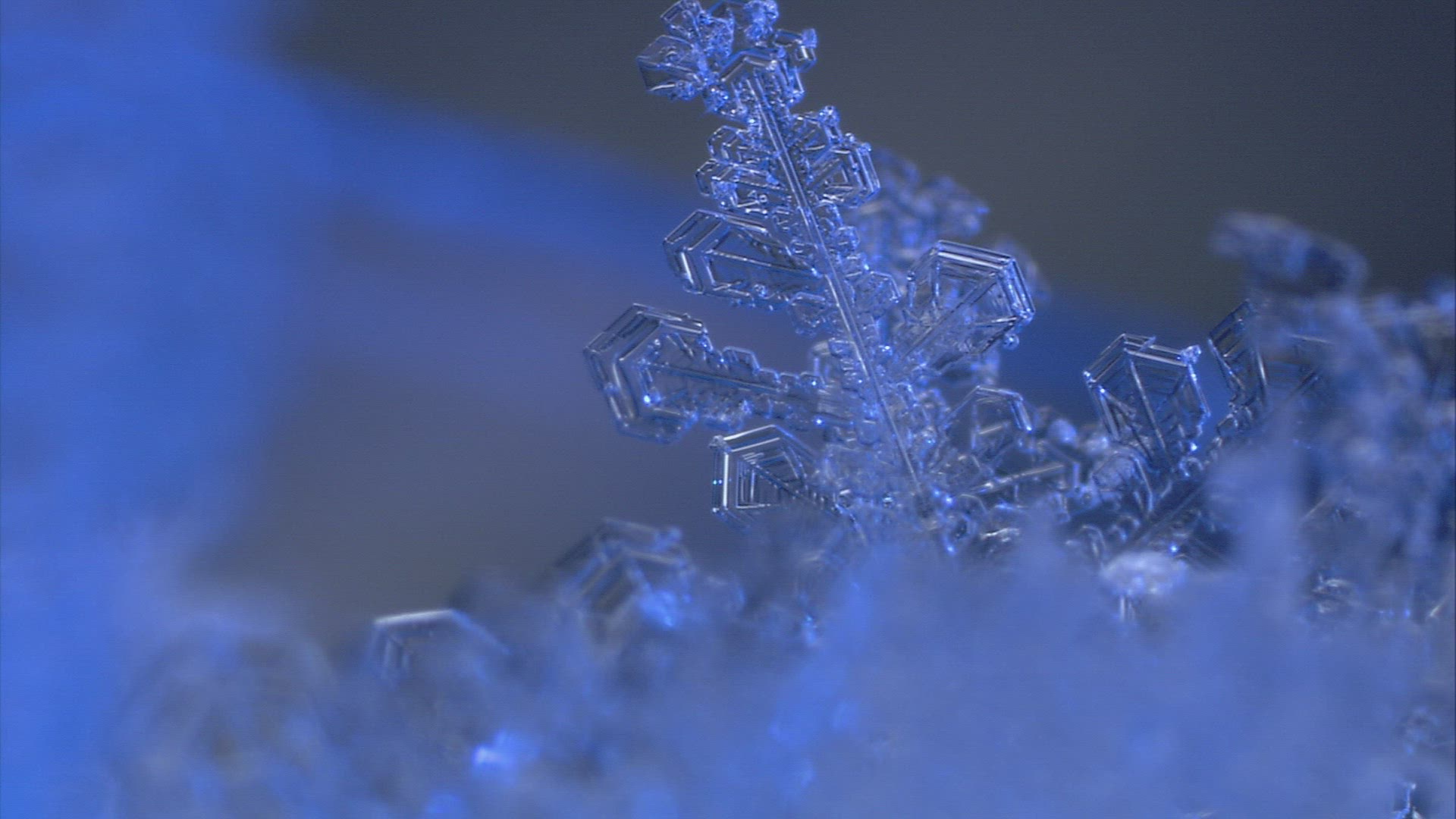 889601651 / Ice Crystal / Cold