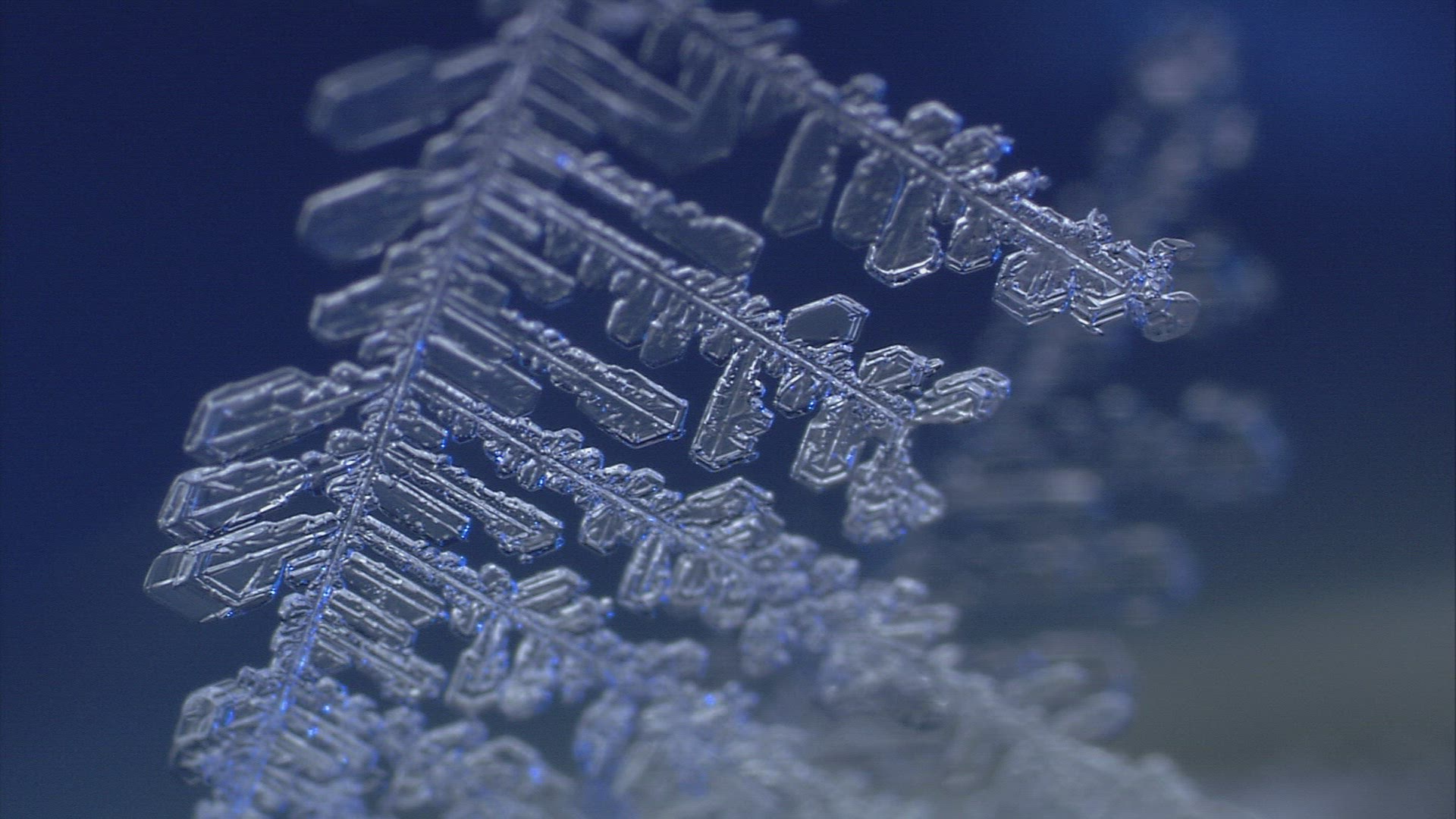 300379484 / Ice Crystal / Cold