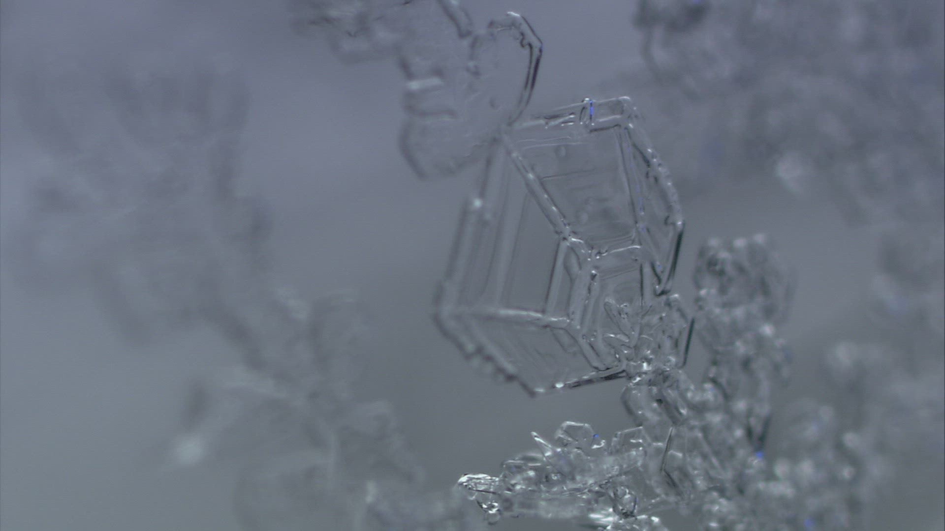 872671325 / Ice Crystal / Cold