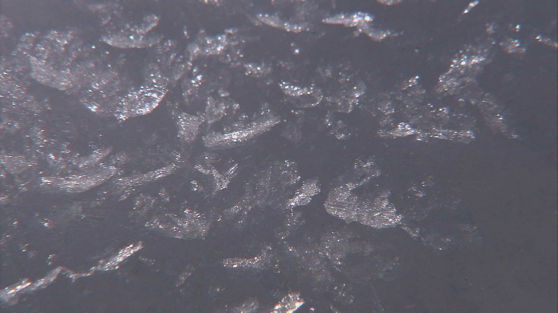 958336627 / Ice Crystal / Cold