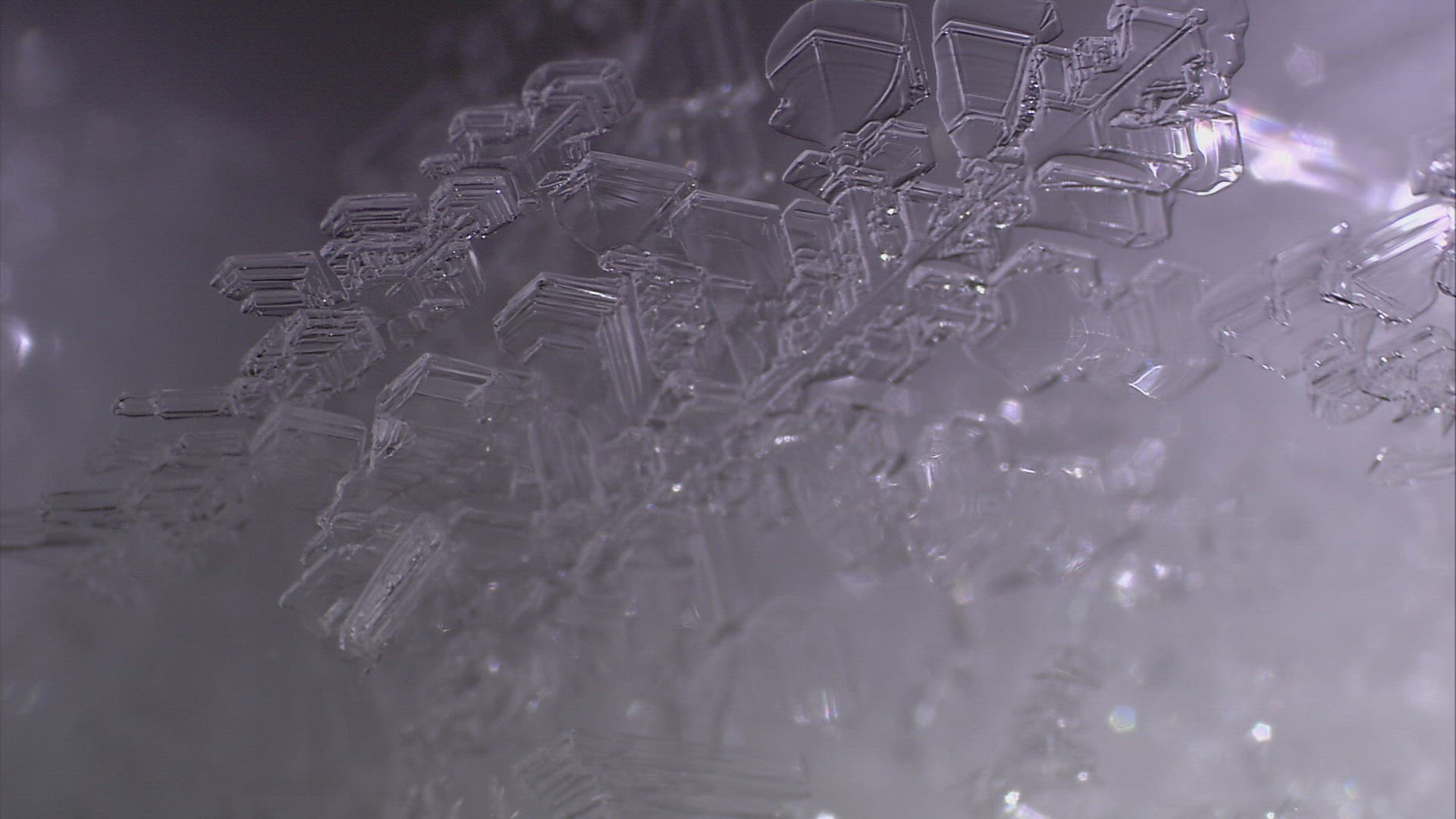 503490958 / Ice Crystal / Cold
