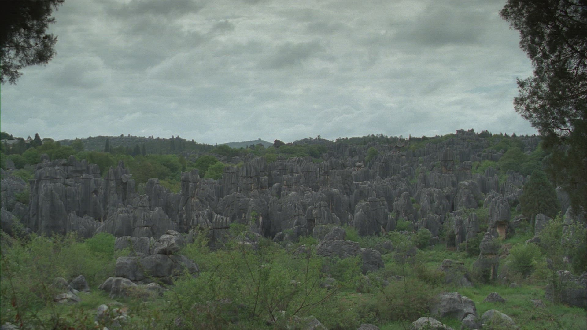 266197261 / Stone Forest / Shilin / China