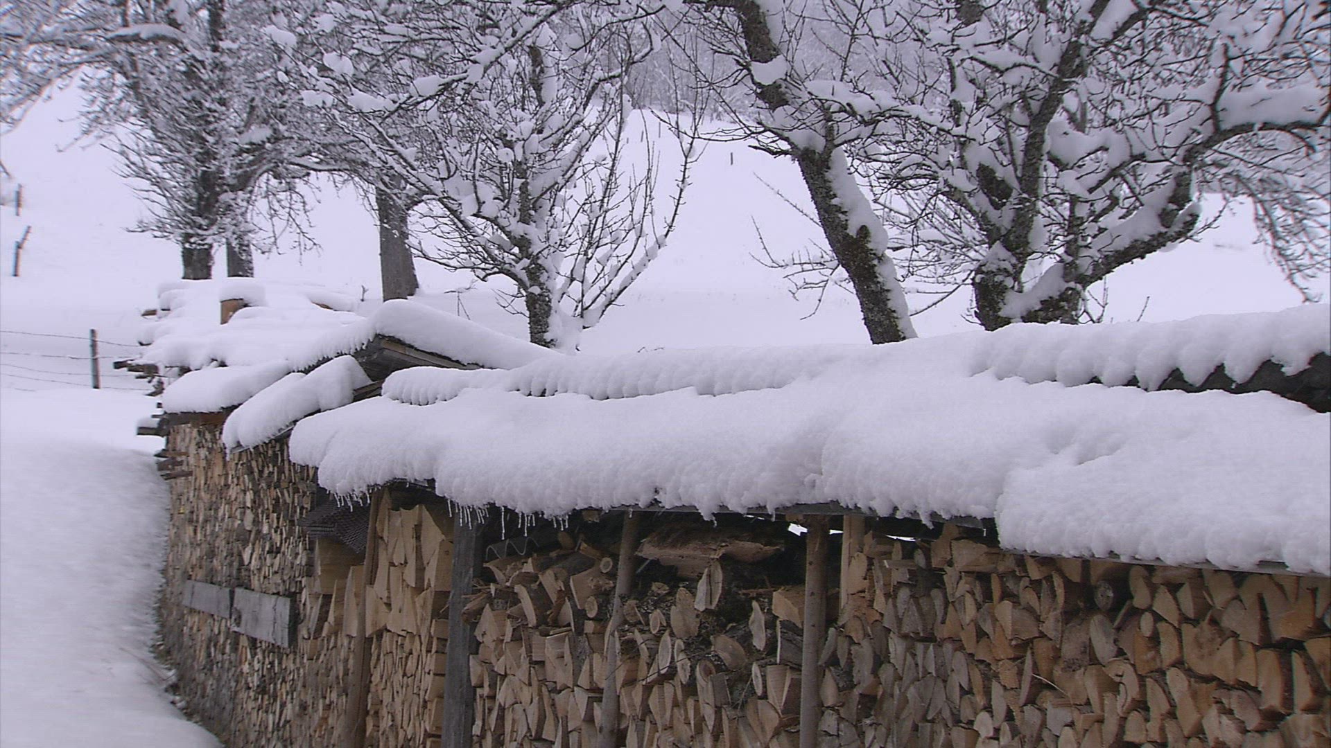 242840770 / Residential Building / Snowfall / Winter / Austria