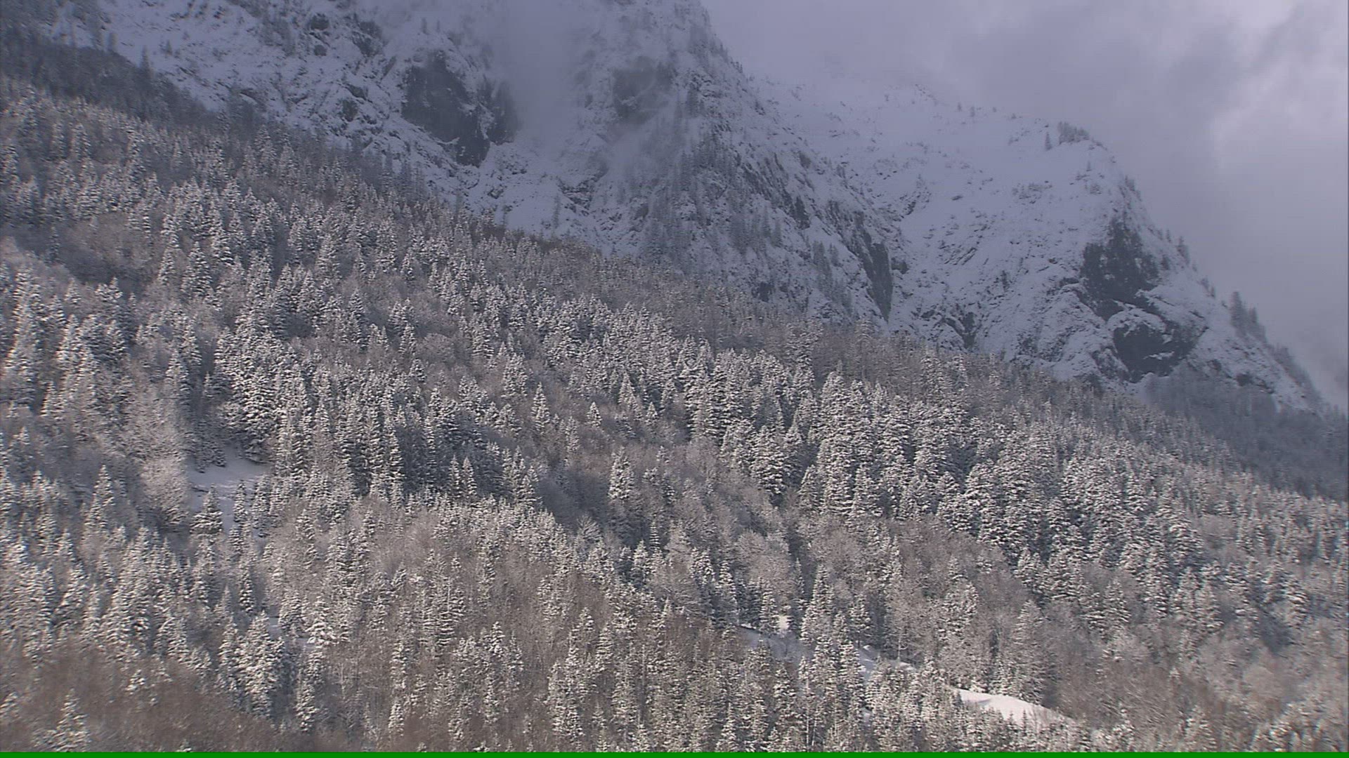 819182935 / Coniferous Forest / Mountain Forest / Winter / Austria