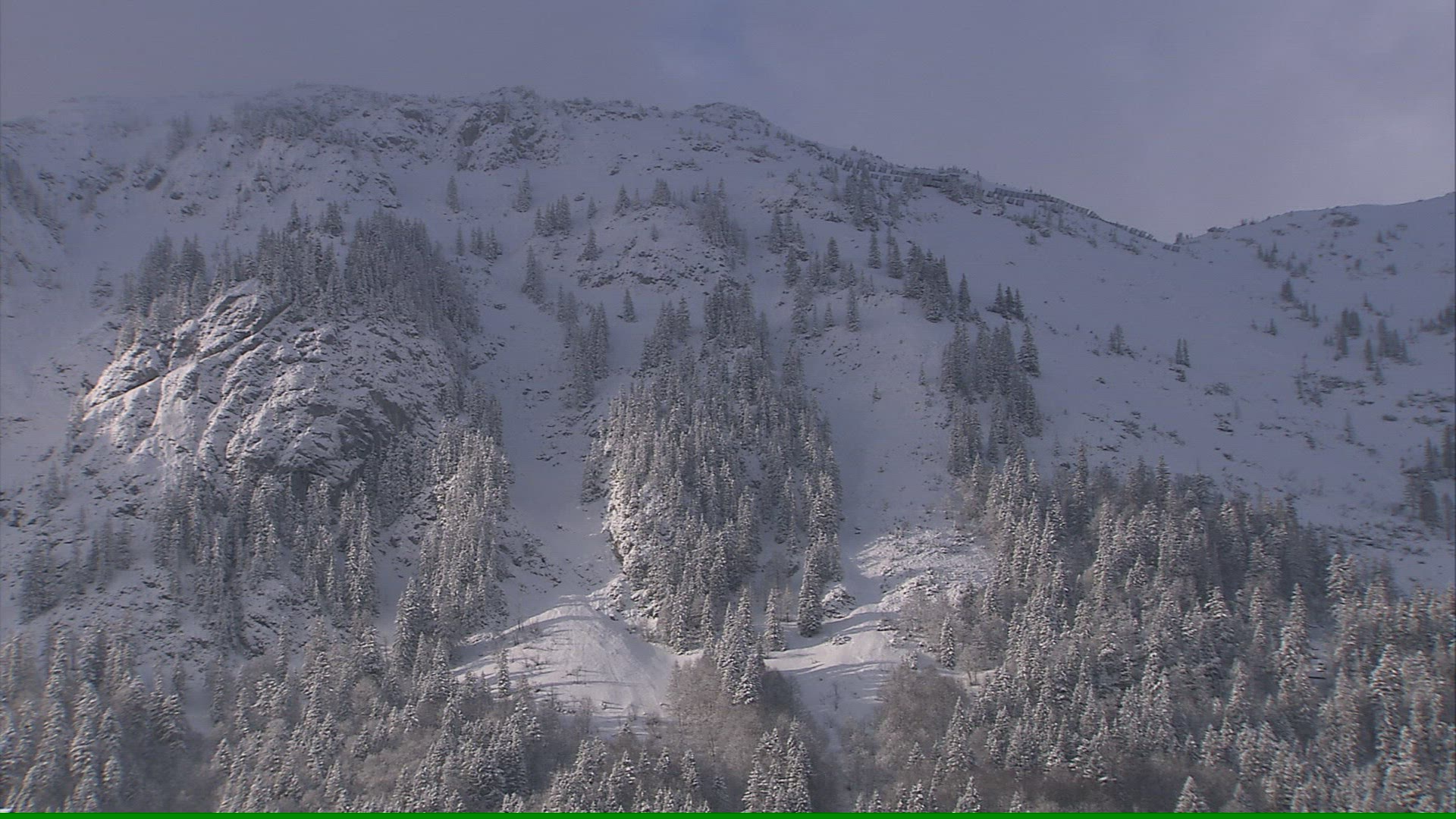 916575800 / Coniferous Forest / Mountain Forest / Winter / Austria