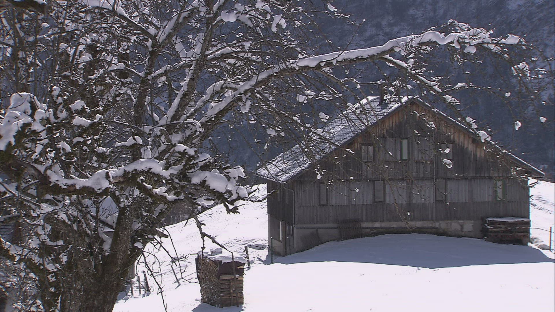817292923 / Residential Building / Snowfall / Winter / Austria
