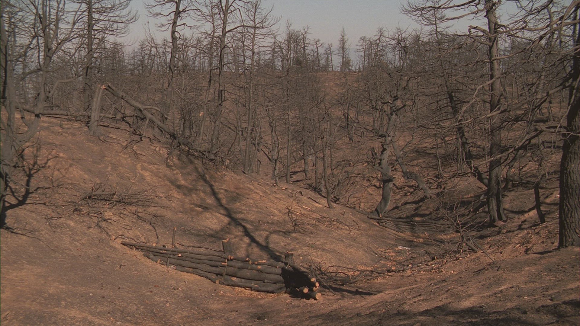 882776407 / Aftermath / Forest Fire / Greece