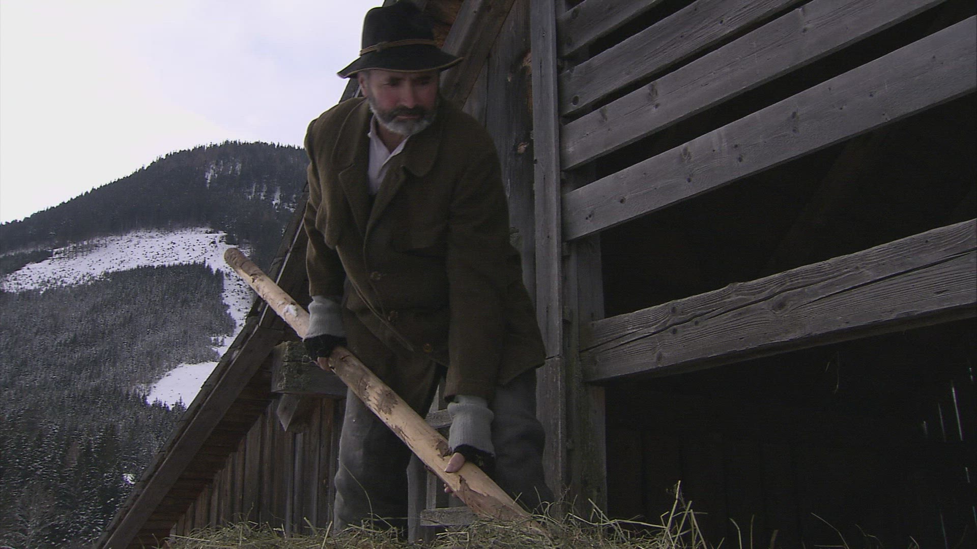 682277429 / Farmer / Hay / Barn / Austria